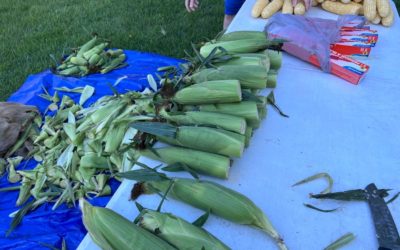 Taking Our Corn Feed Local